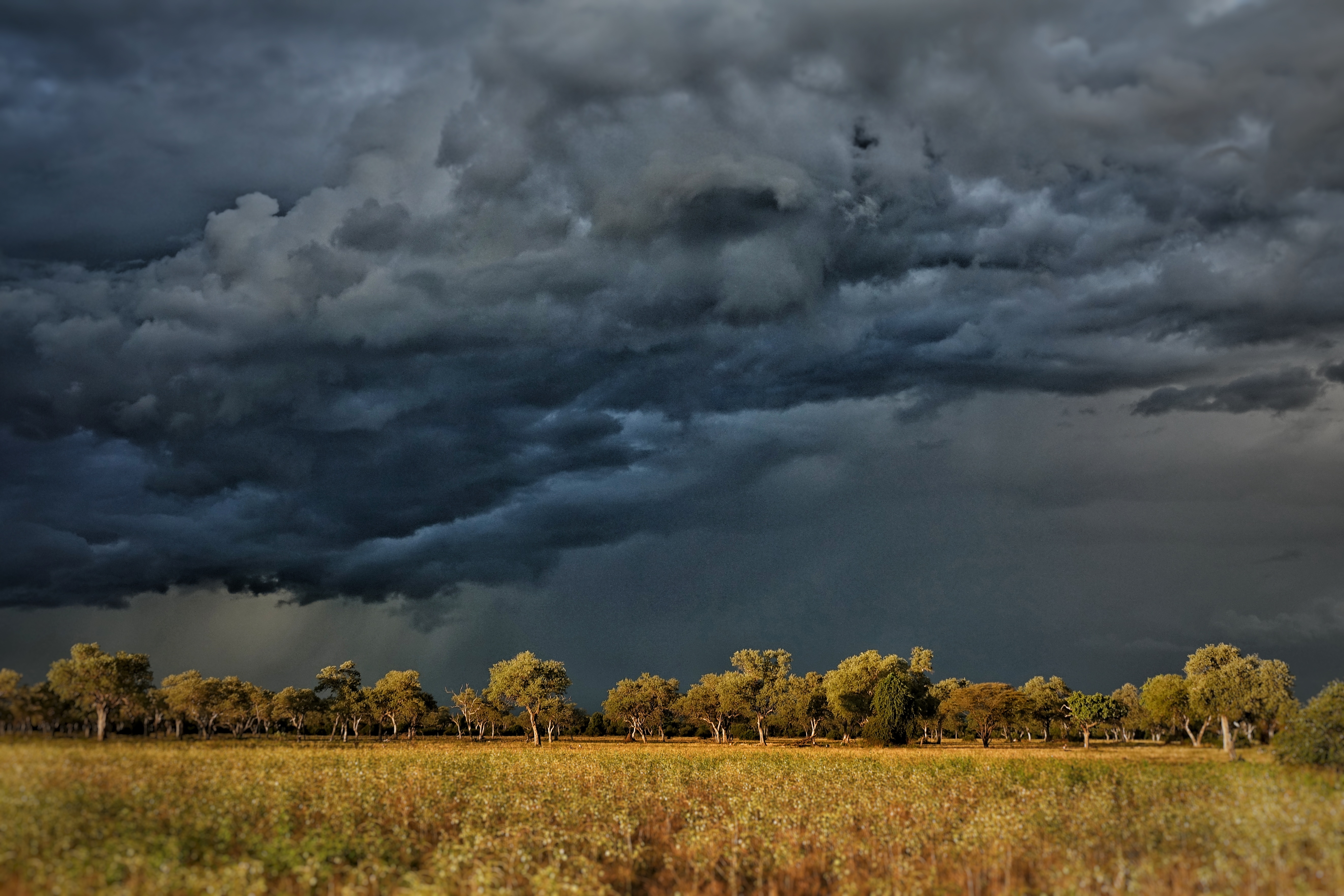 Nuages sombres sur South Luangwa